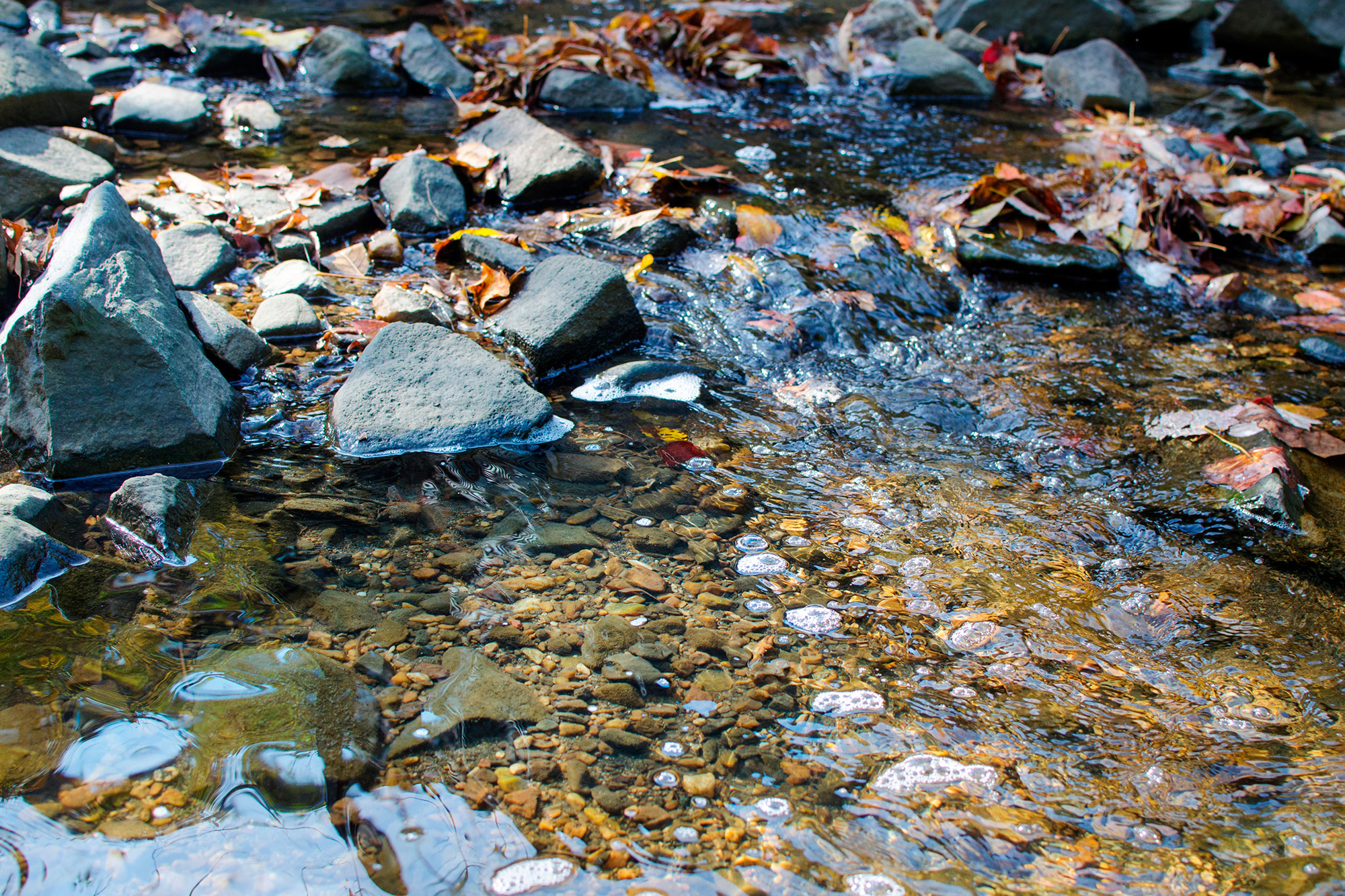 An image of a stream