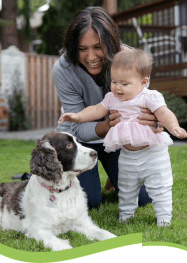 Image of brochure about proper disposal for companion animal owners